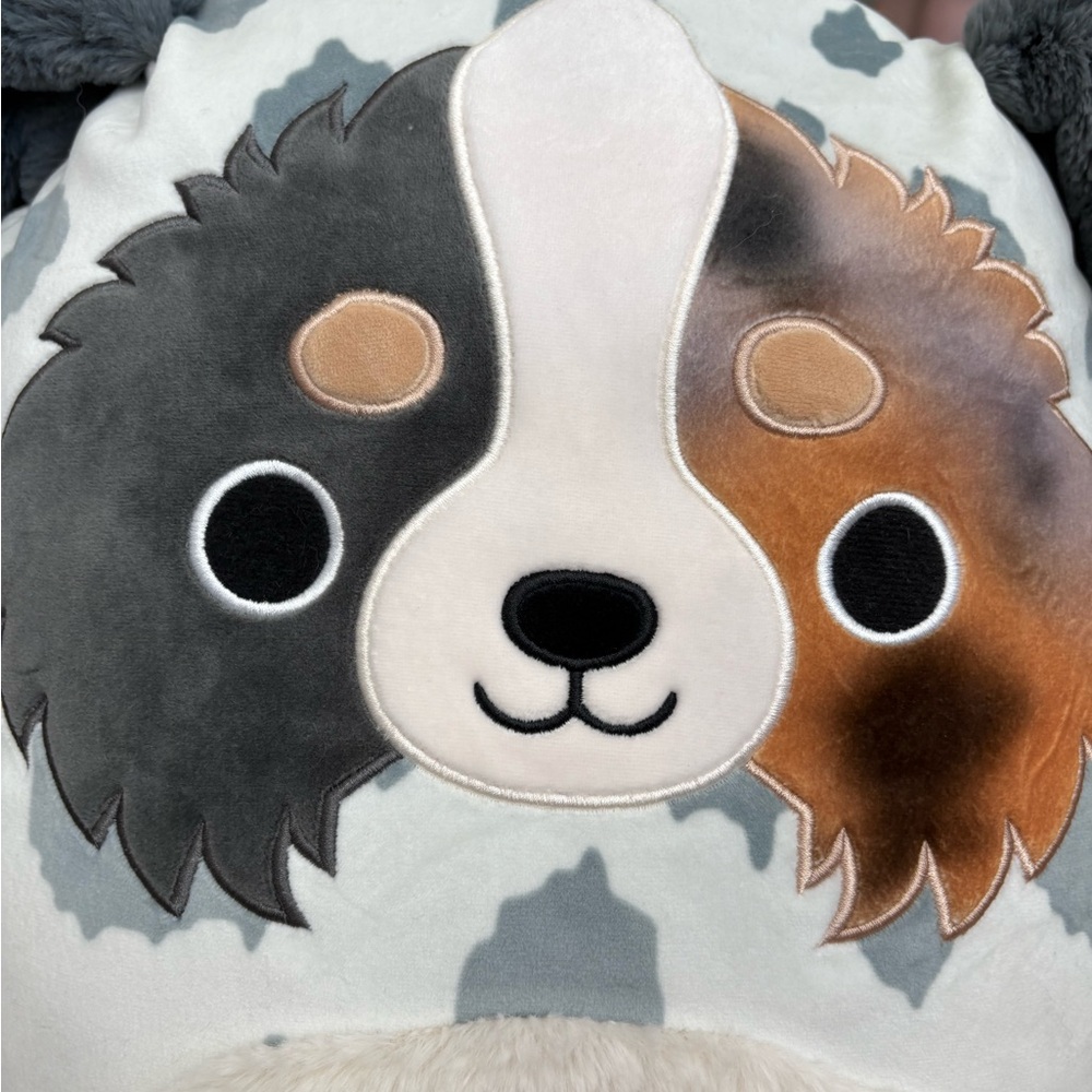 Squishmallows Raylor the Australian Shepherd large NWT - Picture 2 of 8
